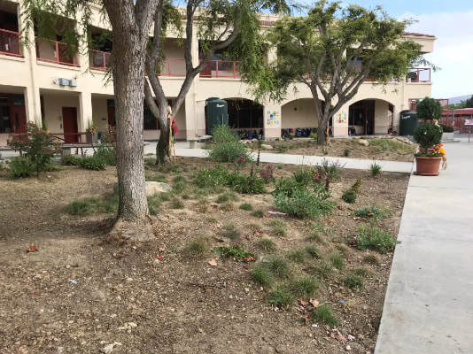 Completed DROPS funded project at El Camino Creek