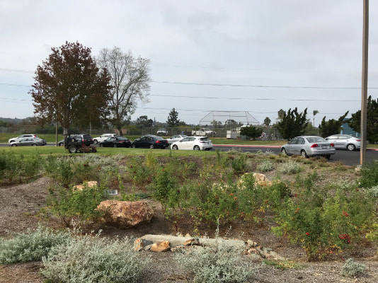 Site of DROPS funded bioswale at  Flora Vista Elementary  
