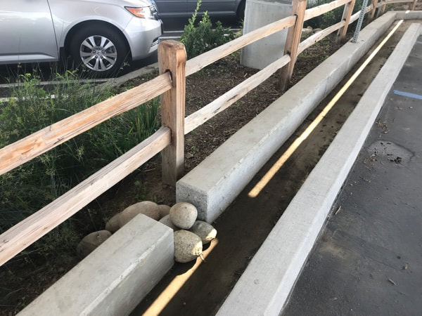 Curb cuts into bioswale were an important part of the project